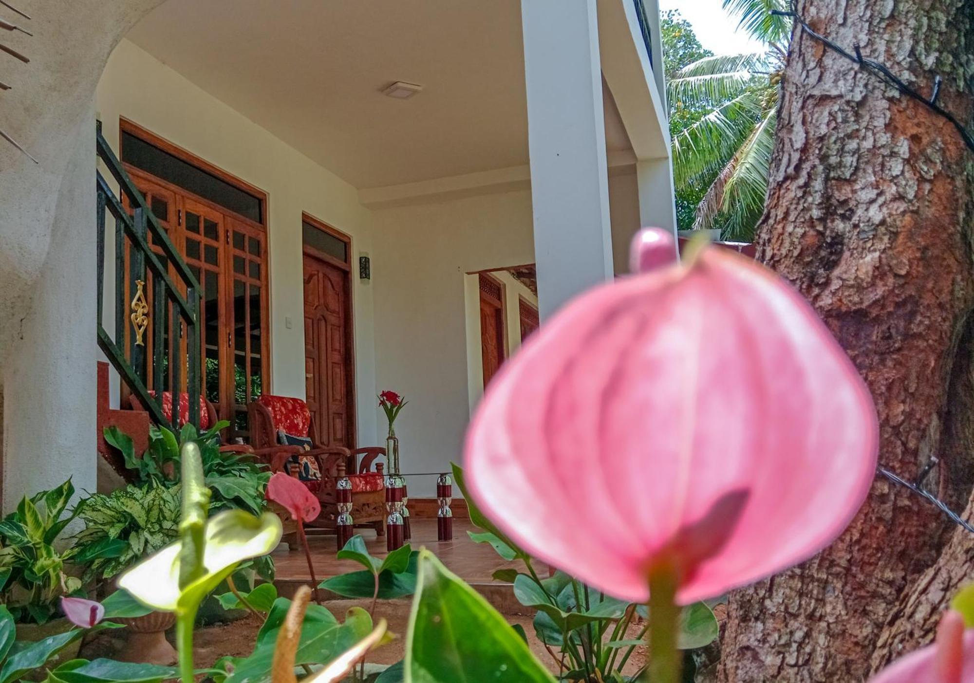 Gimhana Homestay Sigirîya Extérieur photo
