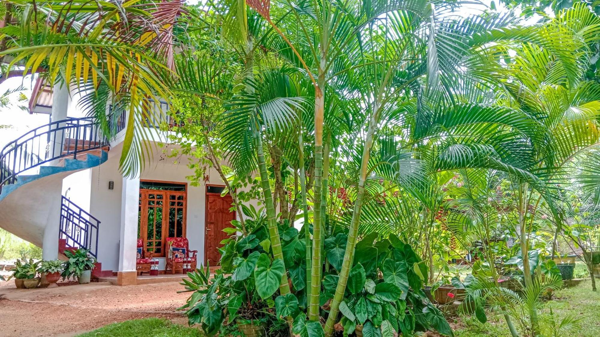 Gimhana Homestay Sigirîya Extérieur photo