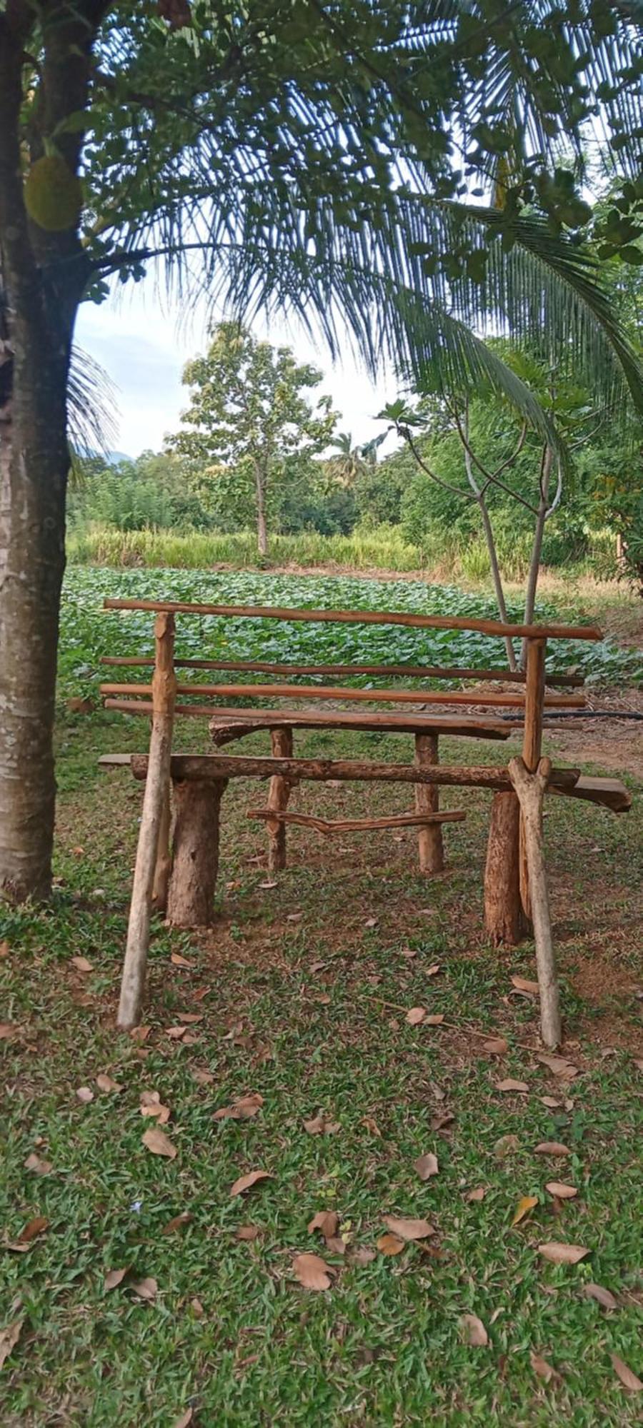 Gimhana Homestay Sigirîya Extérieur photo